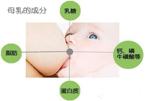 母乳分析仪厂家之母乳中蛋白质到底有多重要—山东国康