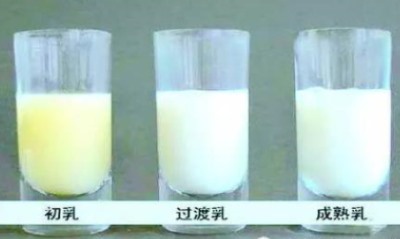 母乳分析仪品牌山东国康,婴幼儿营养均衡的保障-山东国康 母乳分析仪品牌山东国康,婴幼儿营养均衡的保障-山东国康