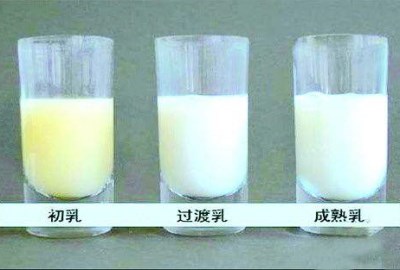 母乳分析仪厂家告诉你为什么每个阶段都要进行母乳检测-山东国康