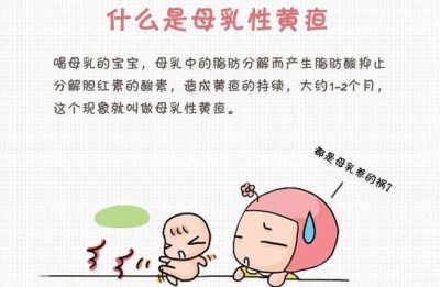 超声母乳分析仪解析母乳性黄疸需要停止母乳喂养吗-山东国康 超声母乳分析仪解析母乳性黄疸需要停止母乳喂养吗-山东国康