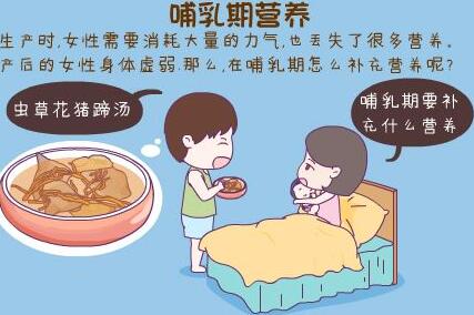 全自动母乳分析仪提倡母乳喂养 宝宝健康茁壮 全自动母乳分析仪提倡母乳喂养 宝宝健康茁壮