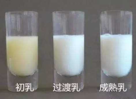 母乳分析仪针对母乳营养成分检验结果有哪些? 母乳分析仪针对母乳营养成分检验结果有哪些?