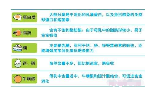 便携式母乳检测仪分析母乳中蕴含的营养价值 便携式母乳检测仪分析母乳中蕴含的营养价值