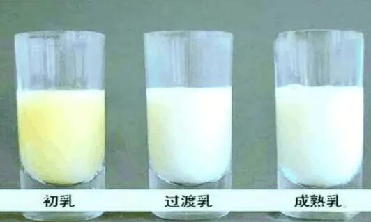 乳成分快速分析仪厂家建议哪个时期的母乳是高品质母乳